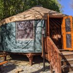 Blue walled Yurt with wooden doors open by with wooden steps in front of trees